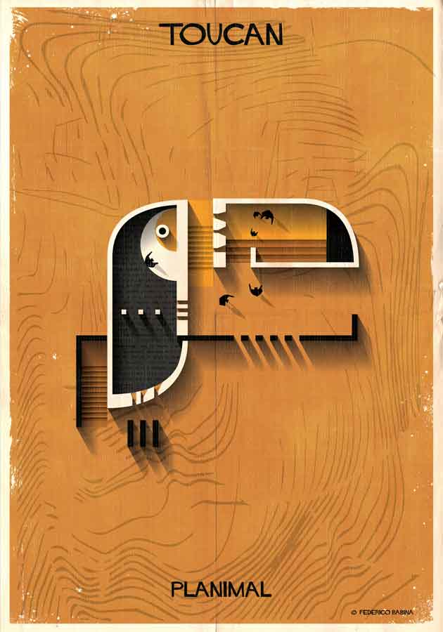 017_PLANIMAL_Toucan-02