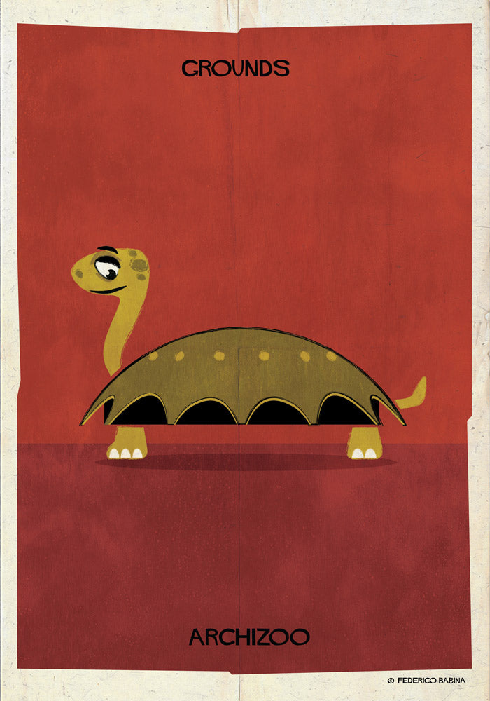 022_turtle-01