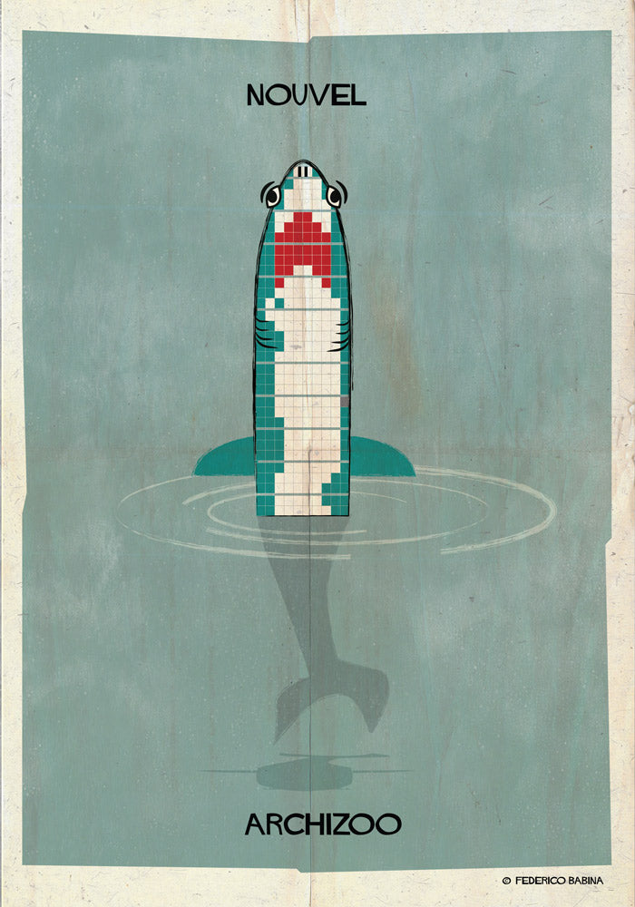 02_SHARK-01-01