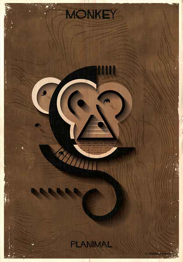 07_PLANIMAL_Monkey-01