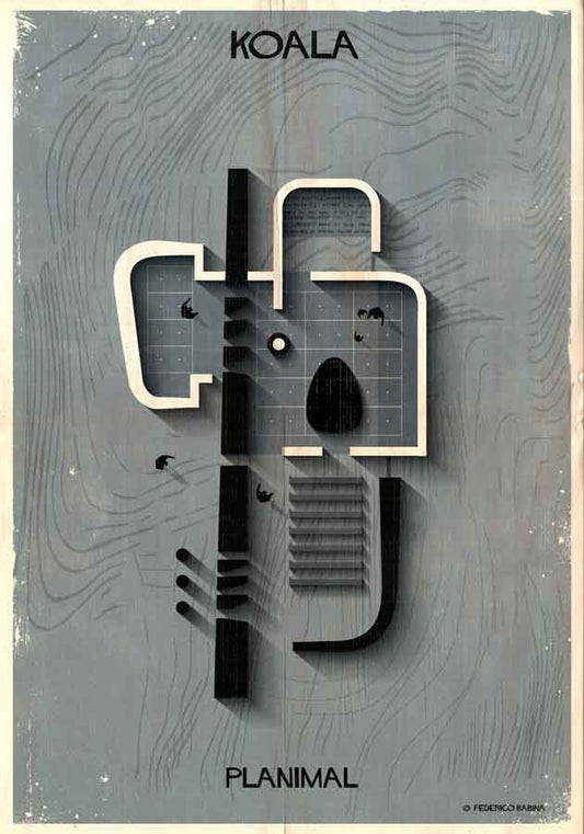 013_PLANIMAL_Koala-01
