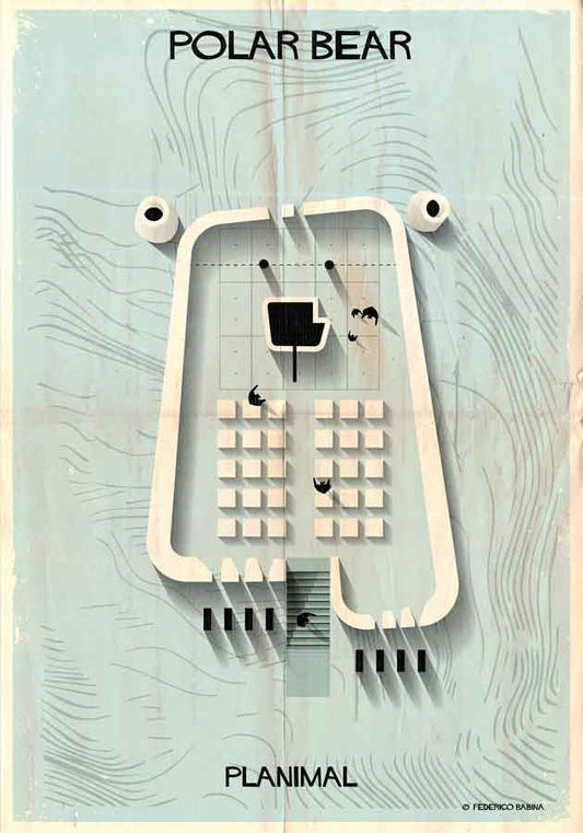 015_PLANIMAL_polar bear-01