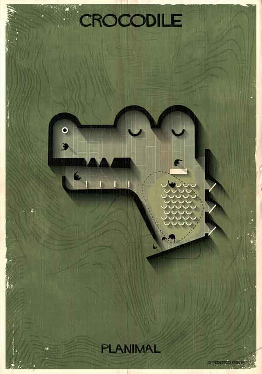 022_PLANIMAL_Crocodile-01