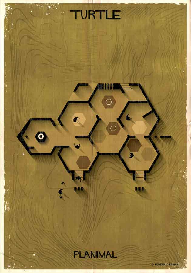 024_PLANIMAL_Turtle-01