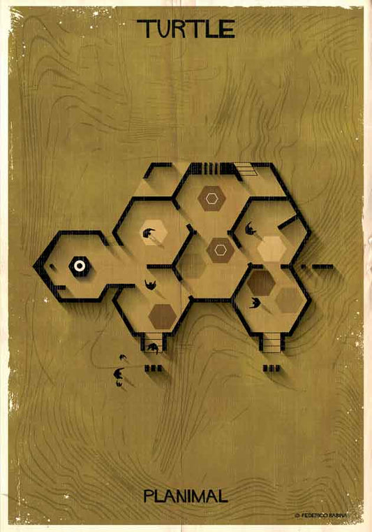 024_PLANIMAL_Turtle-01