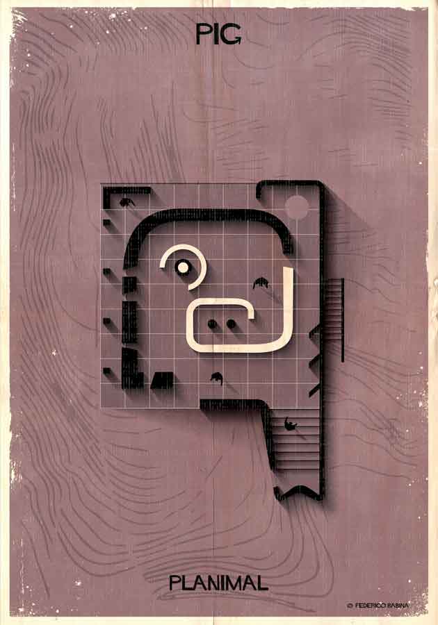 09_PLANIMAL_Pig-01